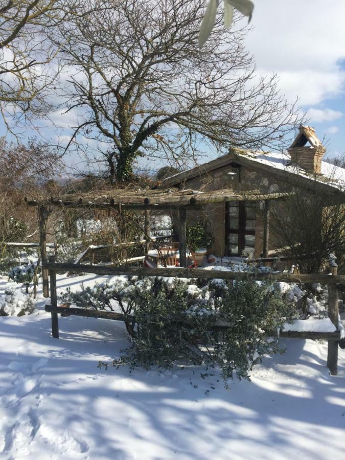 Agriturismo La Cervaiola Piccola Dimora Di Campagna Porano Exterior photo